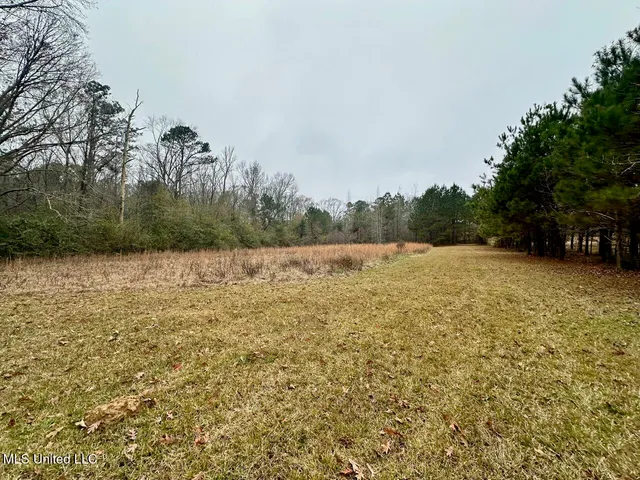 $274,500 | 399 James Boyakin Barnett Road, Magee, MS 39111