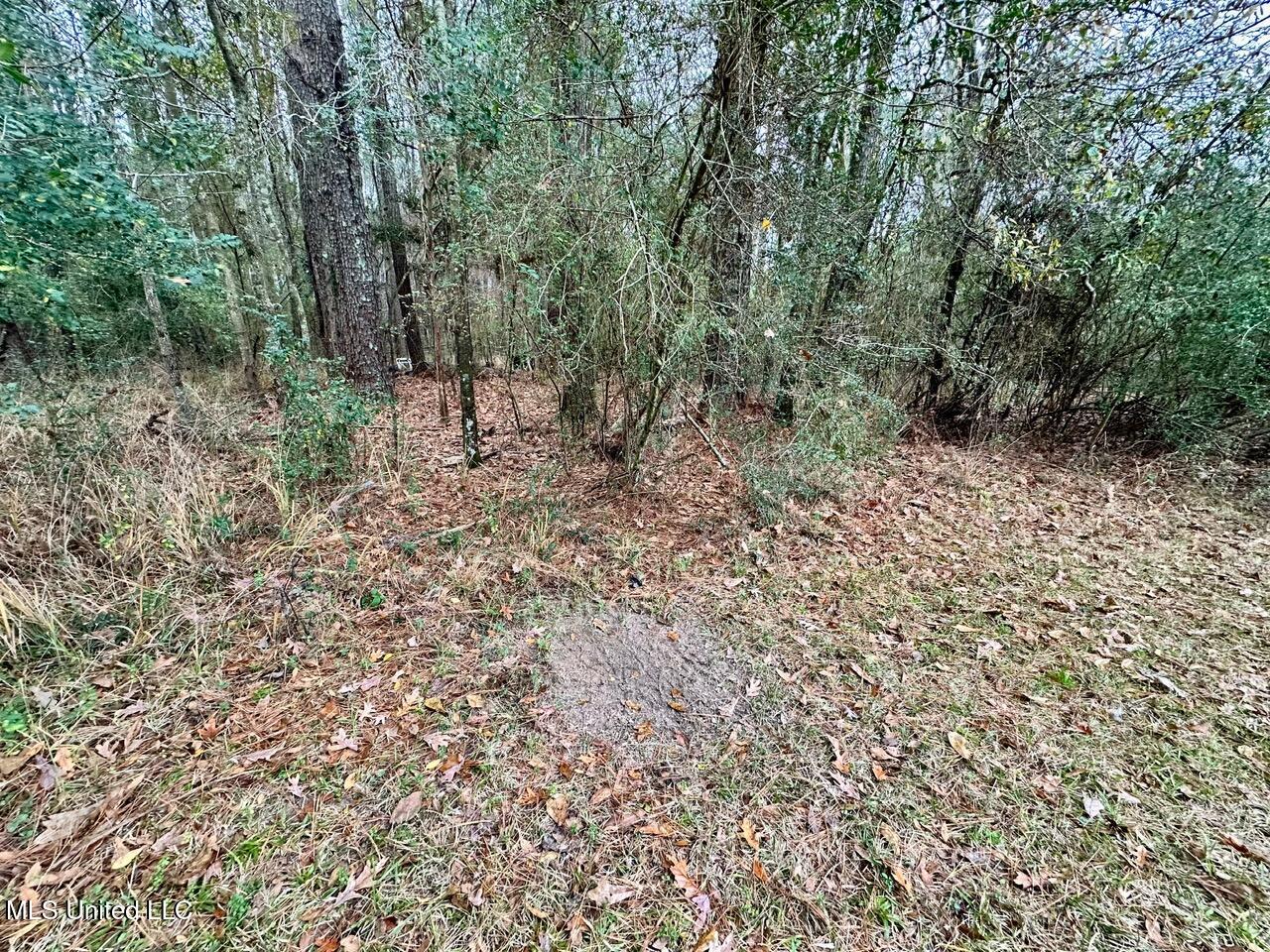 399 James Boyakin Barnett Road Magee, MS 39111 - Photo 28 of 48 IMG_6095