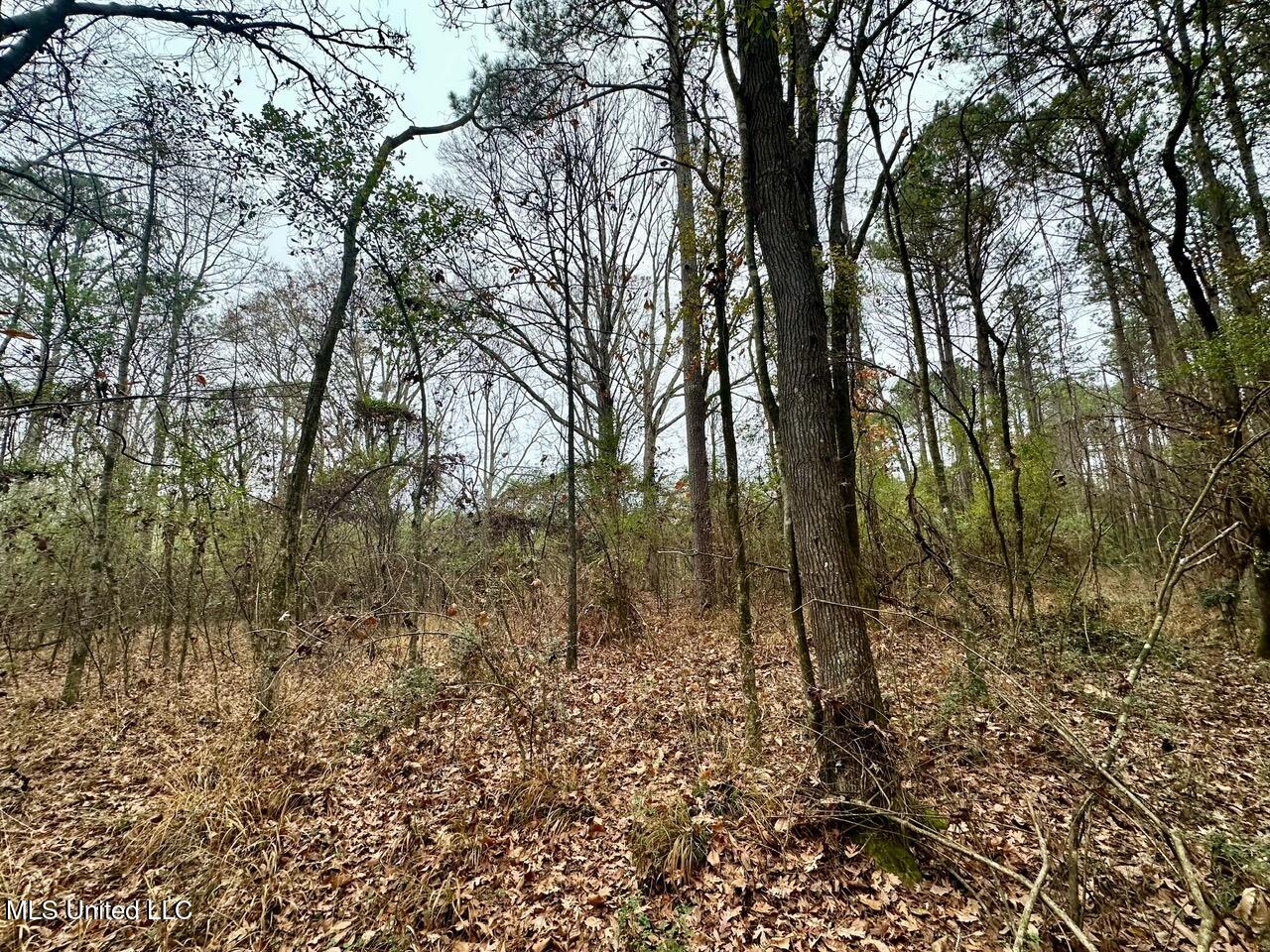 399 James Boyakin Barnett Road Magee, MS 39111 - Photo 29 of 48 IMG_6096