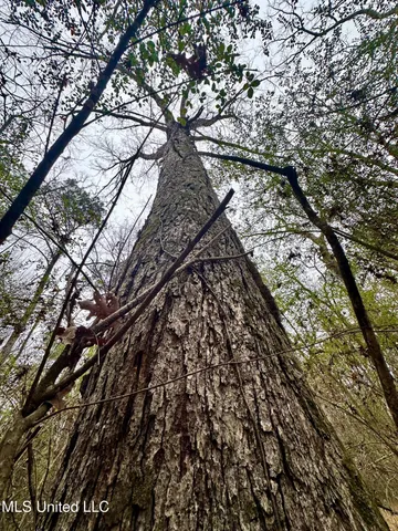 $274,500 | 399 James Boyakin Barnett Road, Magee, MS 39111