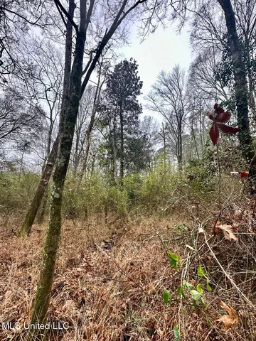 $274,500 | 399 James Boyakin Barnett Road, Magee, MS 39111