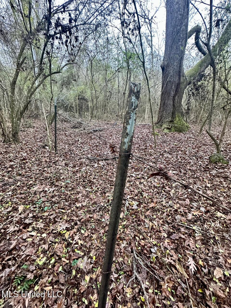 399 James Boyakin Barnett Road Magee, MS 39111 - Photo 37 of 48 IMG_6108