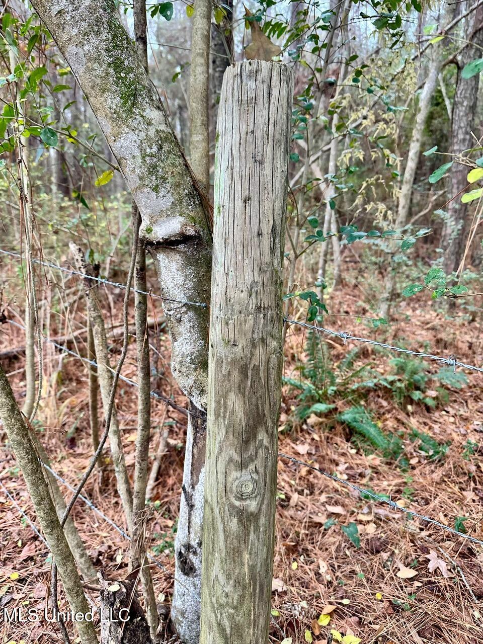 399 James Boyakin Barnett Road Magee, MS 39111 - Photo 41 of 48 IMG_6115