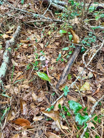 $274,500 | 399 James Boyakin Barnett Road, Magee, MS 39111