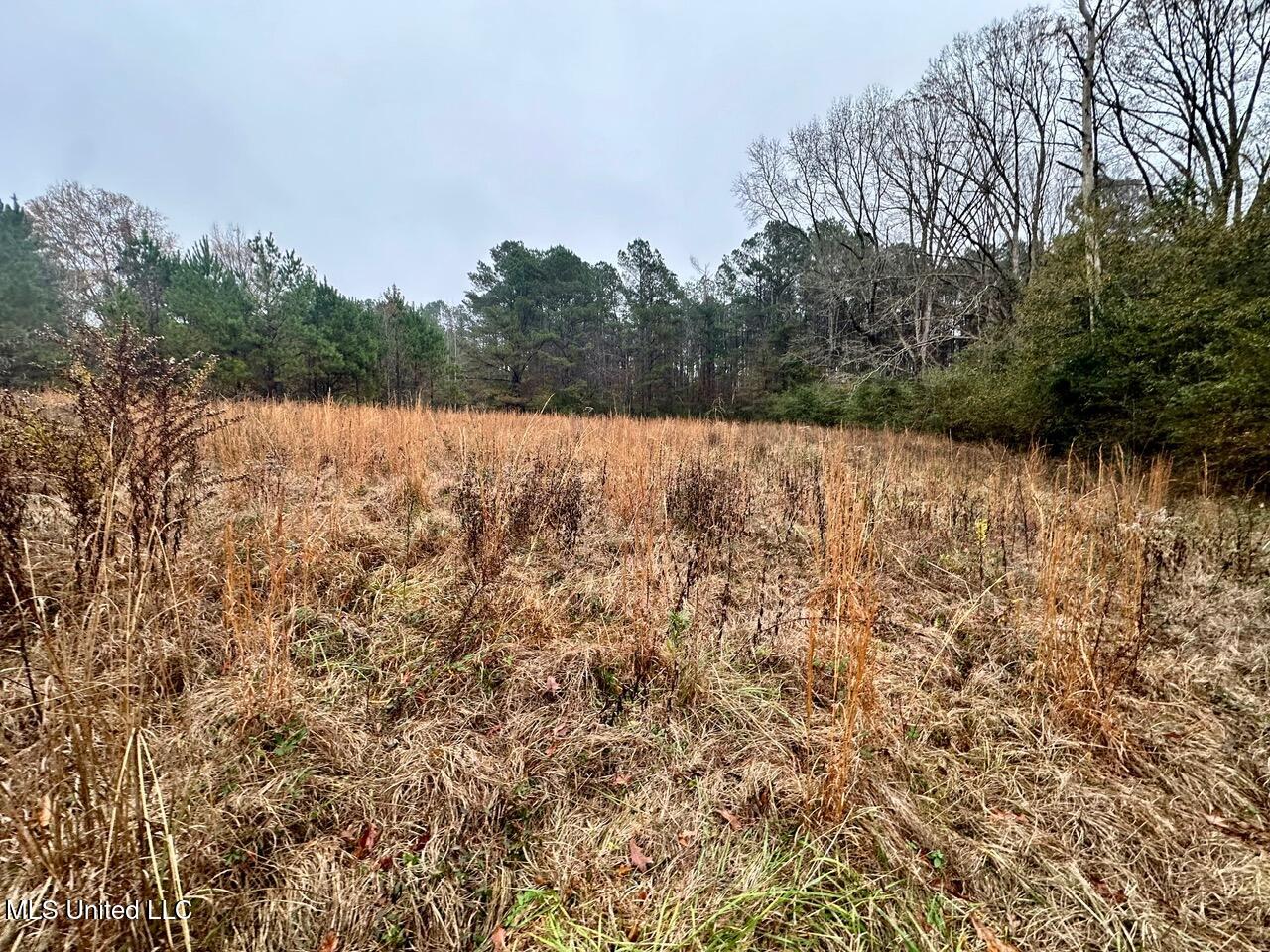 399 James Boyakin Barnett Road Magee, MS 39111 - Photo 43 of 48 IMG_6117