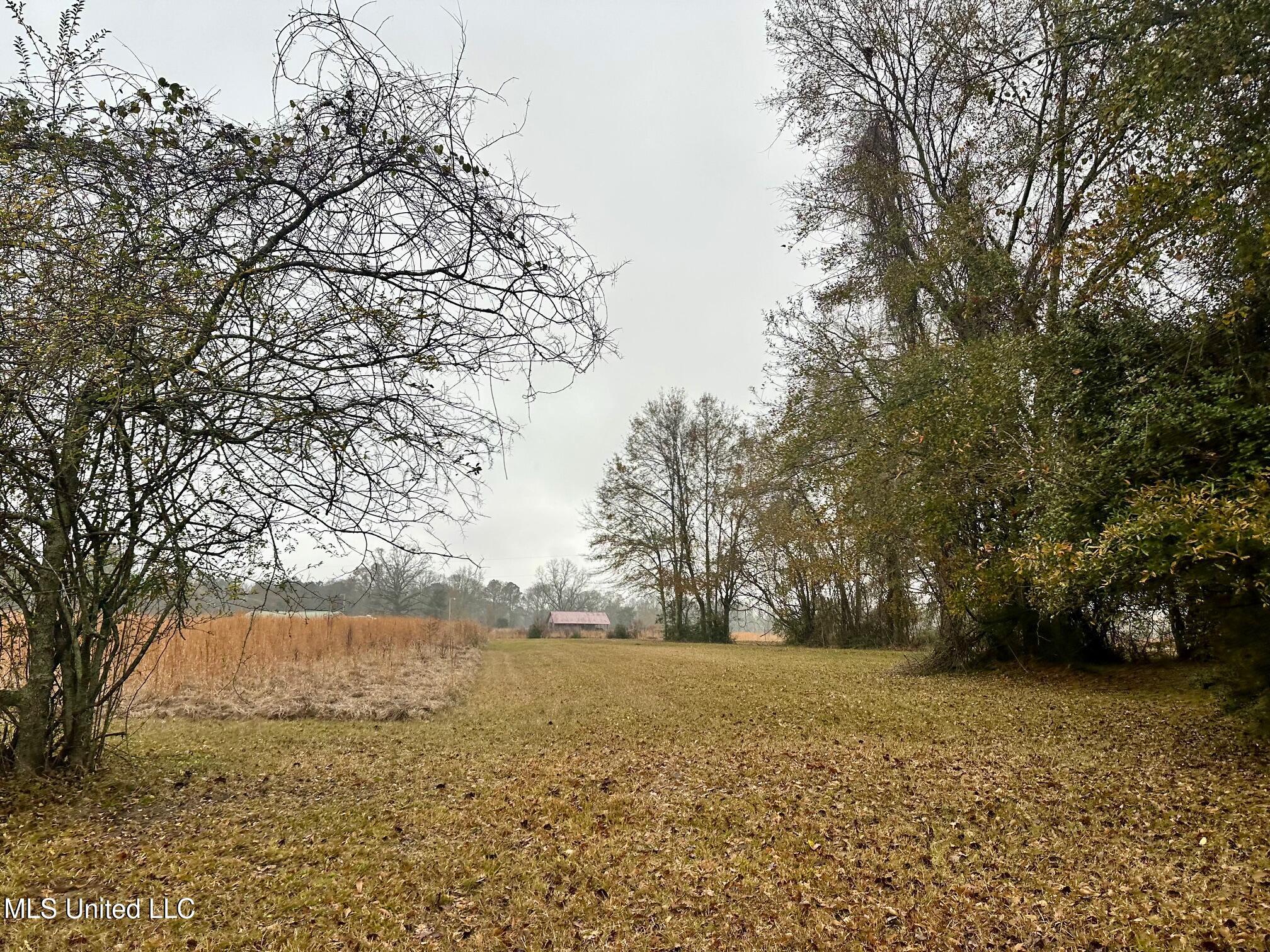 399 James Boyakin Barnett Road Magee, MS 39111 - Photo 46 of 48 IMG_6122