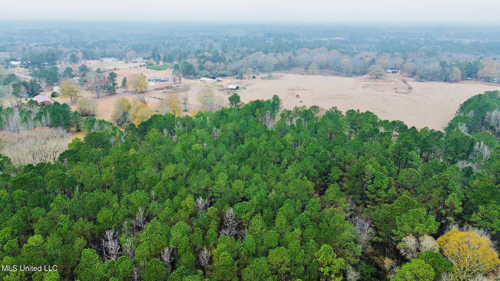 399 James Boyakin Barnett Road Magee, MS 39111 - Photo 7 of 48 dji_fly_20251222_060508_229_176670587895