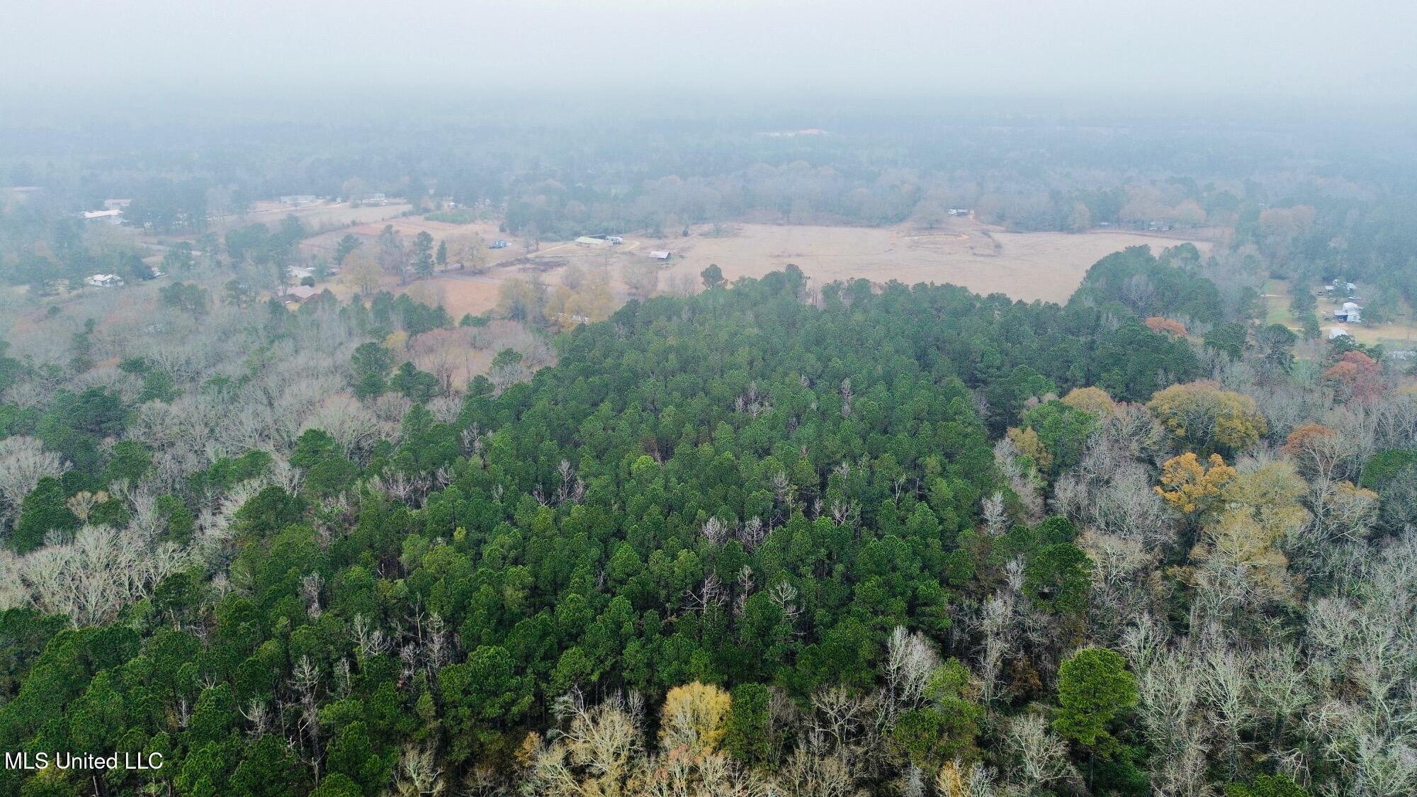 399 James Boyakin Barnett Road Magee, MS 39111 - Photo 8 of 48 dji_fly_20251222_060536_230_176670587853