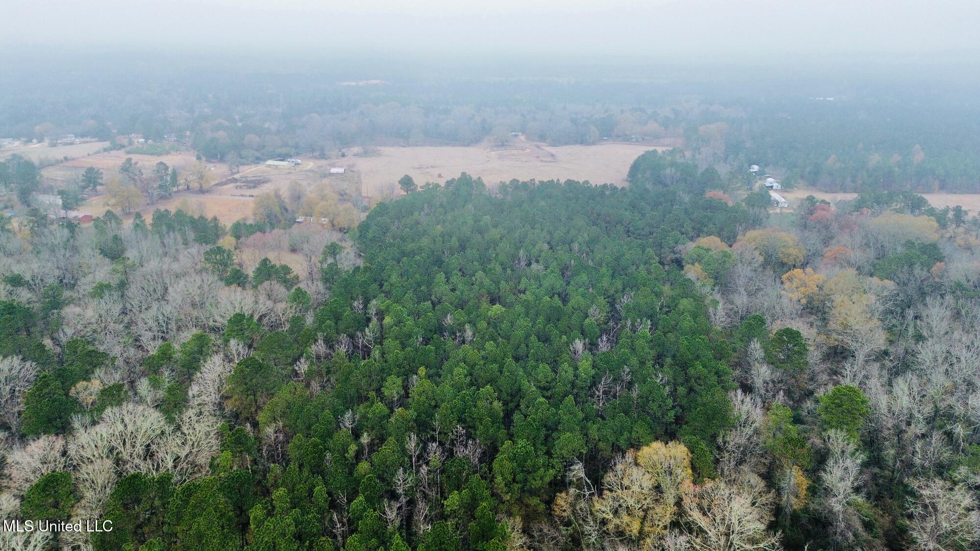 399 James Boyakin Barnett Road Magee, MS 39111 - Photo 9 of 48 dji_fly_20251222_060546_231_176670587810