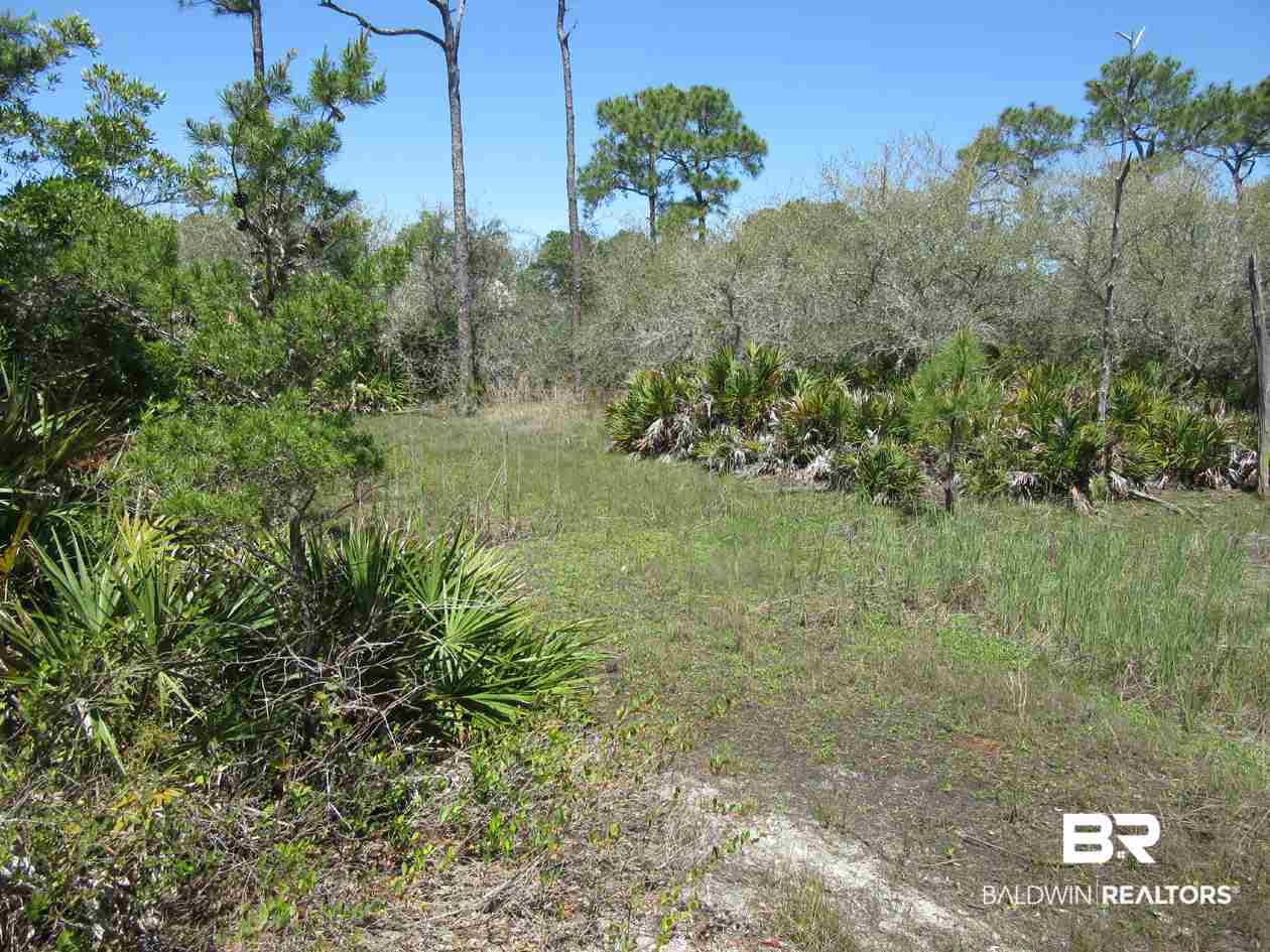 Zeanah Road Gulf Shores, AL 36542 - Photo 7 of 15