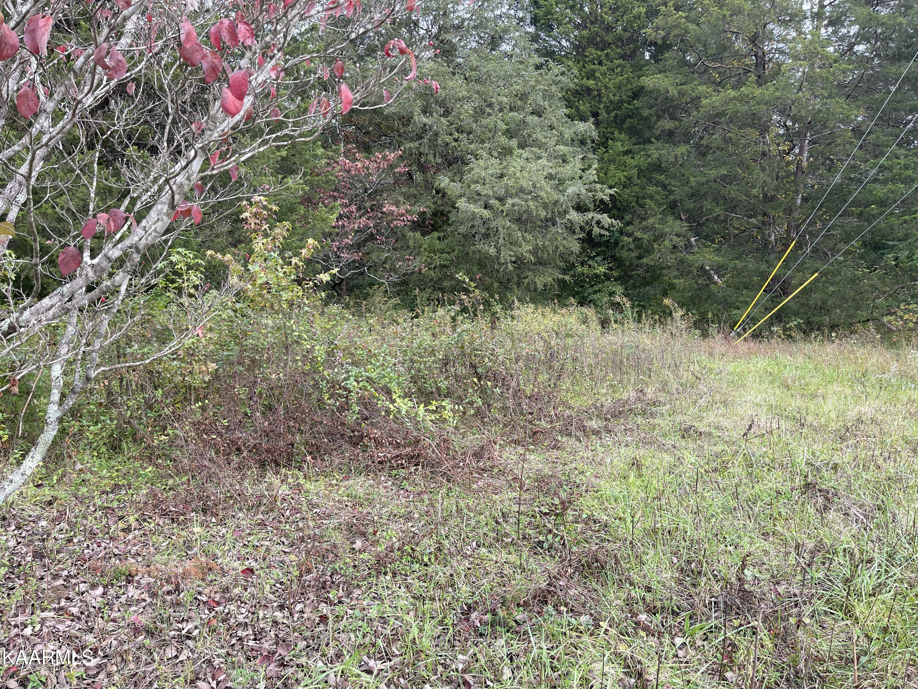 4904 East Emory Road Knoxville, TN 37918 - Photo 4 of 9 88A27764-E8D4-4832-BECC-F3CD196D4591