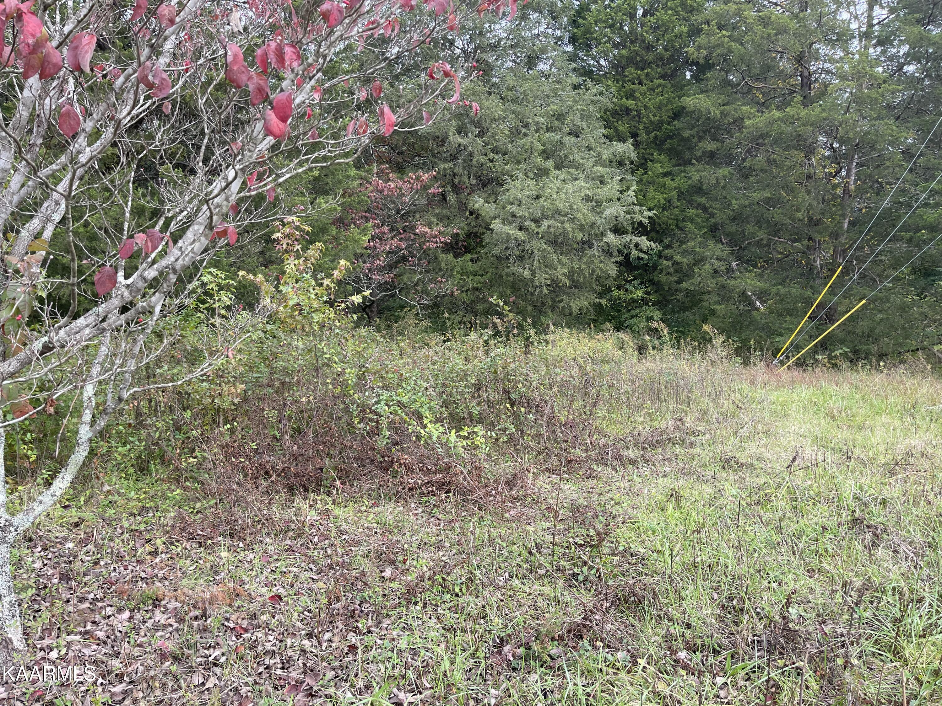 4904 East Emory Road Knoxville, TN 37918 - Photo 5 of 9 B7AAF399-099E-4BB1-9D0E-2838EDE0A682