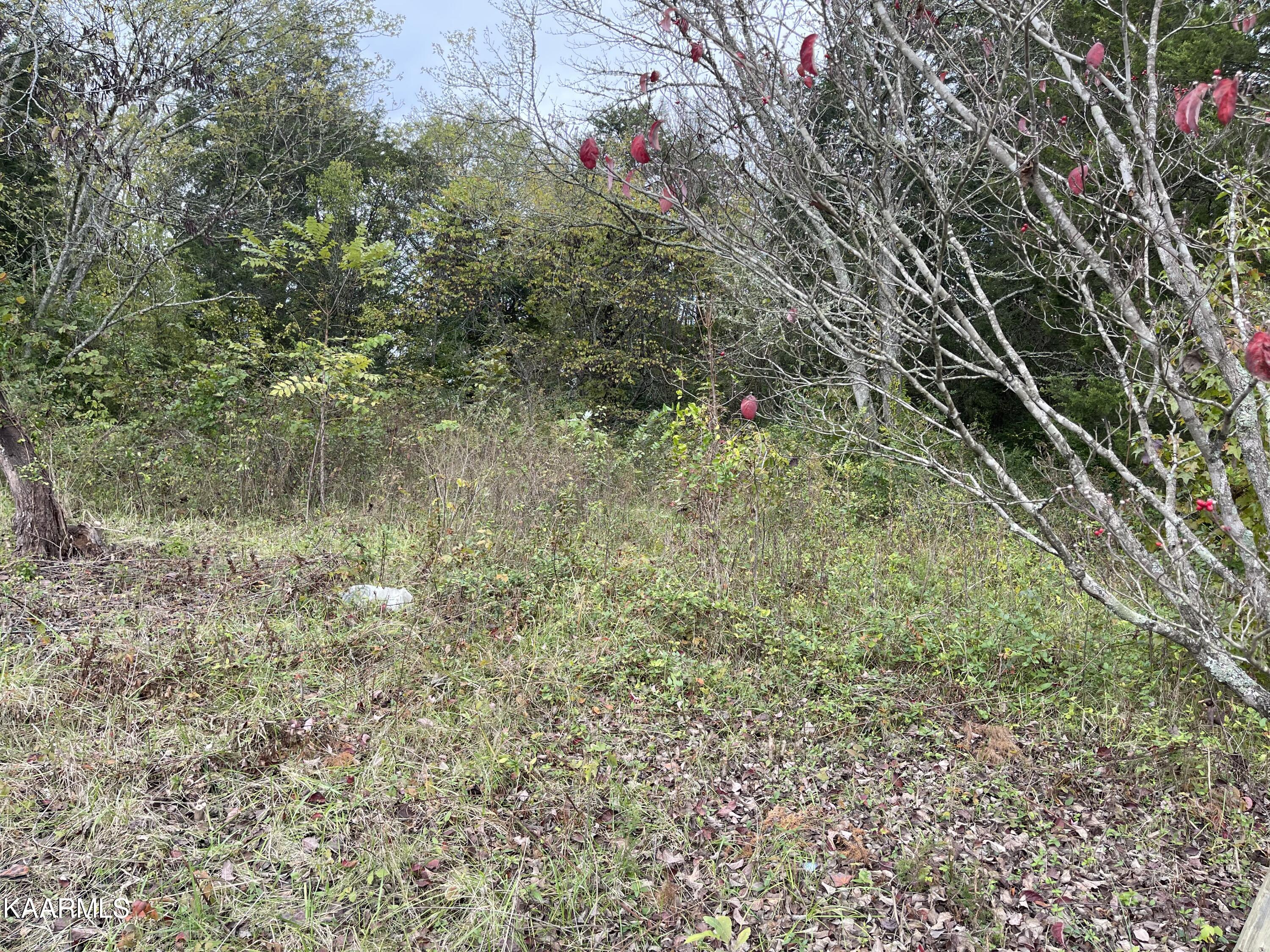 4904 East Emory Road Knoxville, TN 37918 - Photo 6 of 9 86A12473-A9B7-4E19-B8BF-7FEC09B241F9