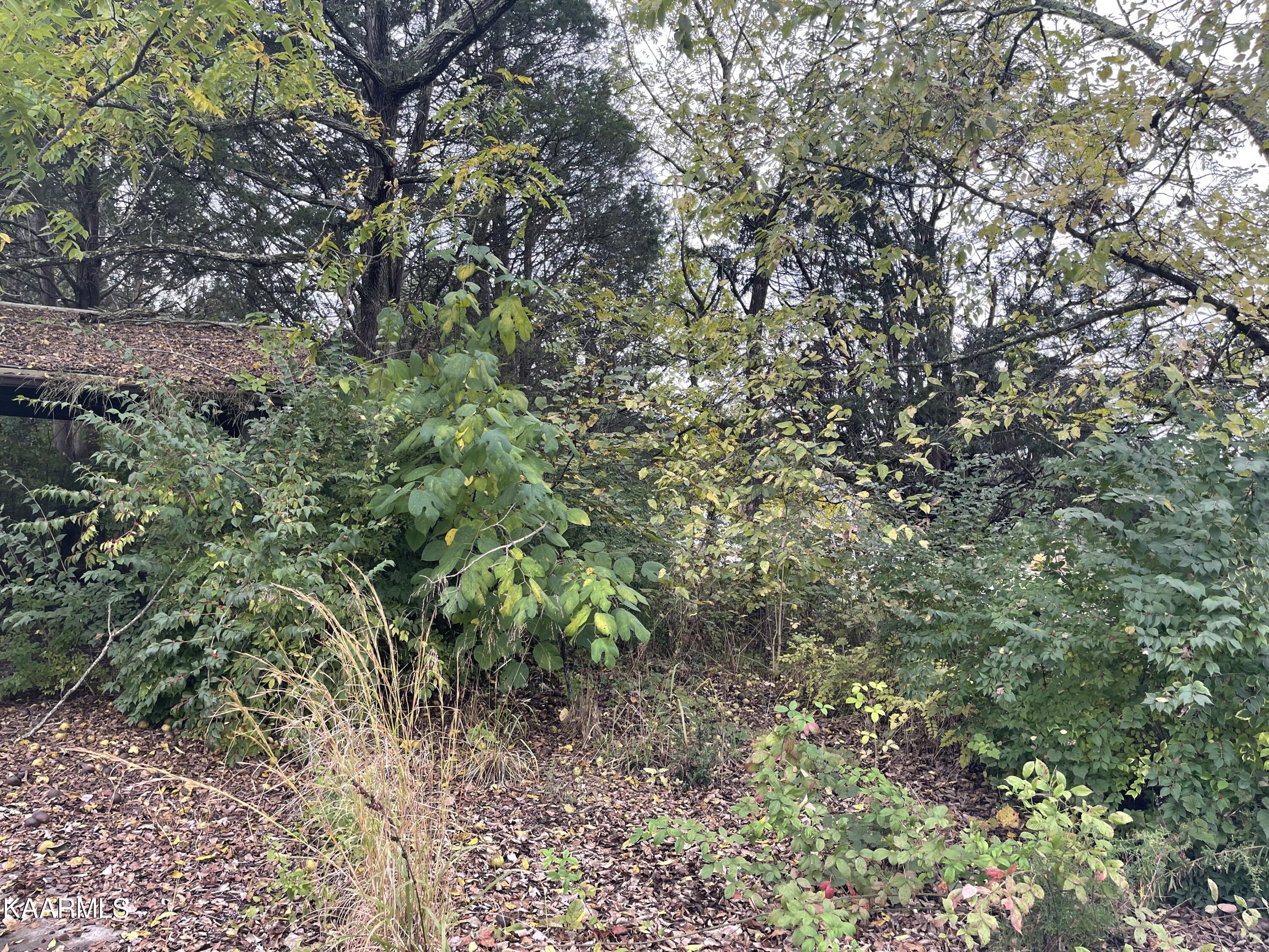 4904 East Emory Road Knoxville, TN 37918 - Photo 7 of 9 E2BE7F50-5233-458A-A598-9A9AC92EB15C