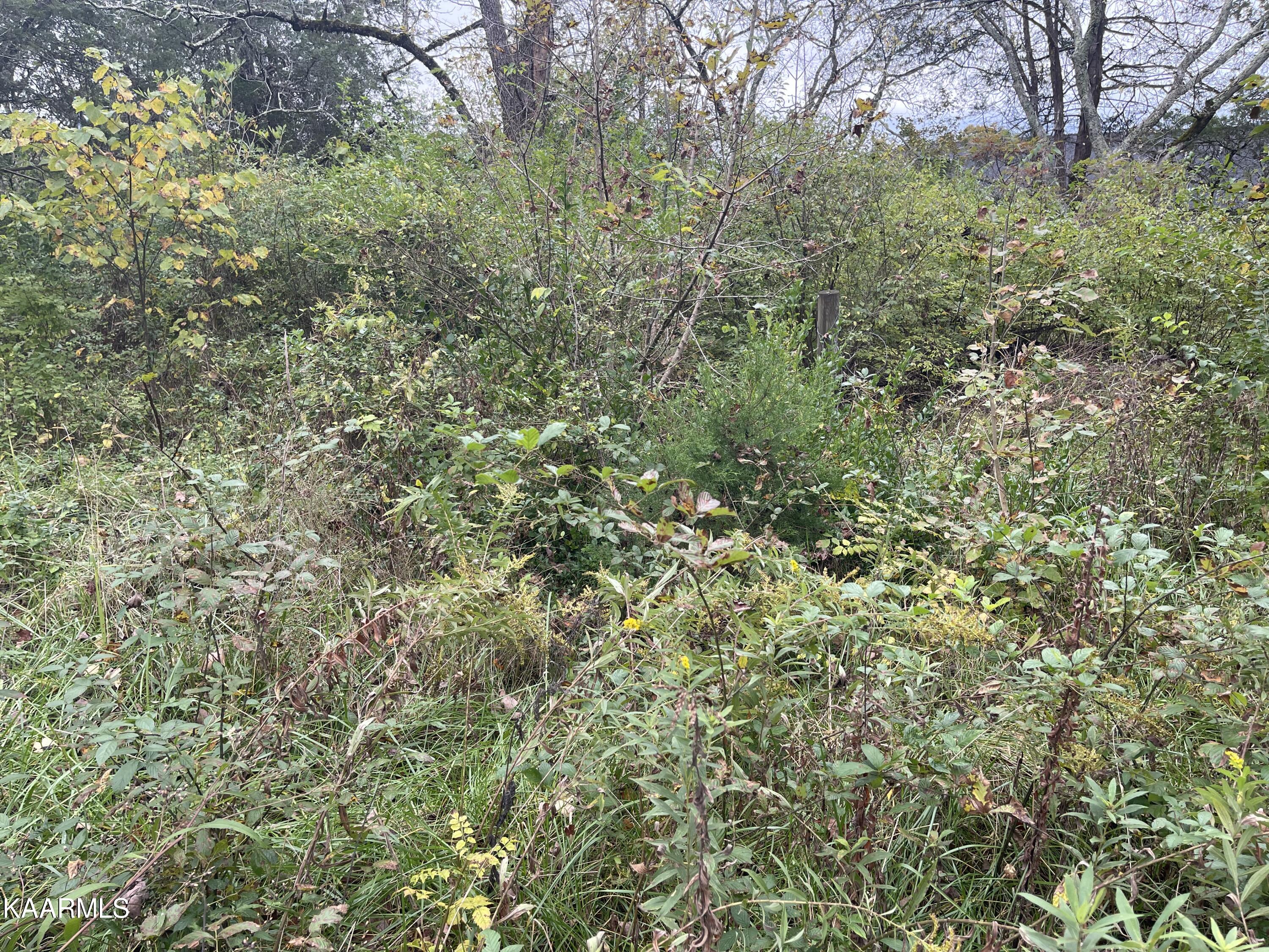 4904 East Emory Road Knoxville, TN 37918 - Photo 8 of 9 24B57BAF-C6FC-4630-8270-E187B0D37295
