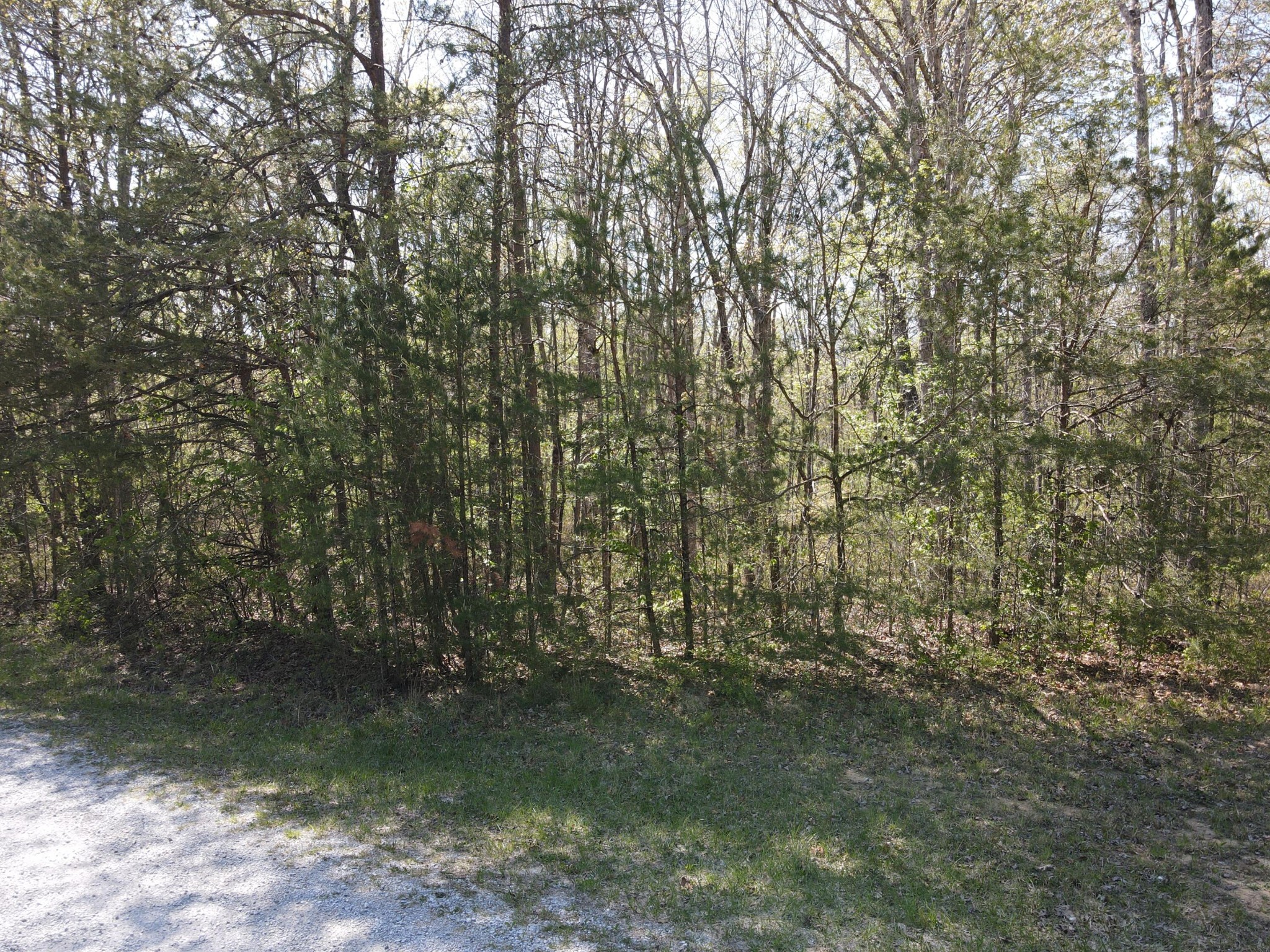 60 Hideaway Cabin Road Altamont, TN 37301 - Photo 10 of 31 Gallery Image 10