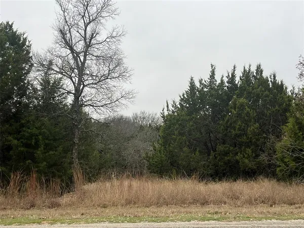 a view of a yard