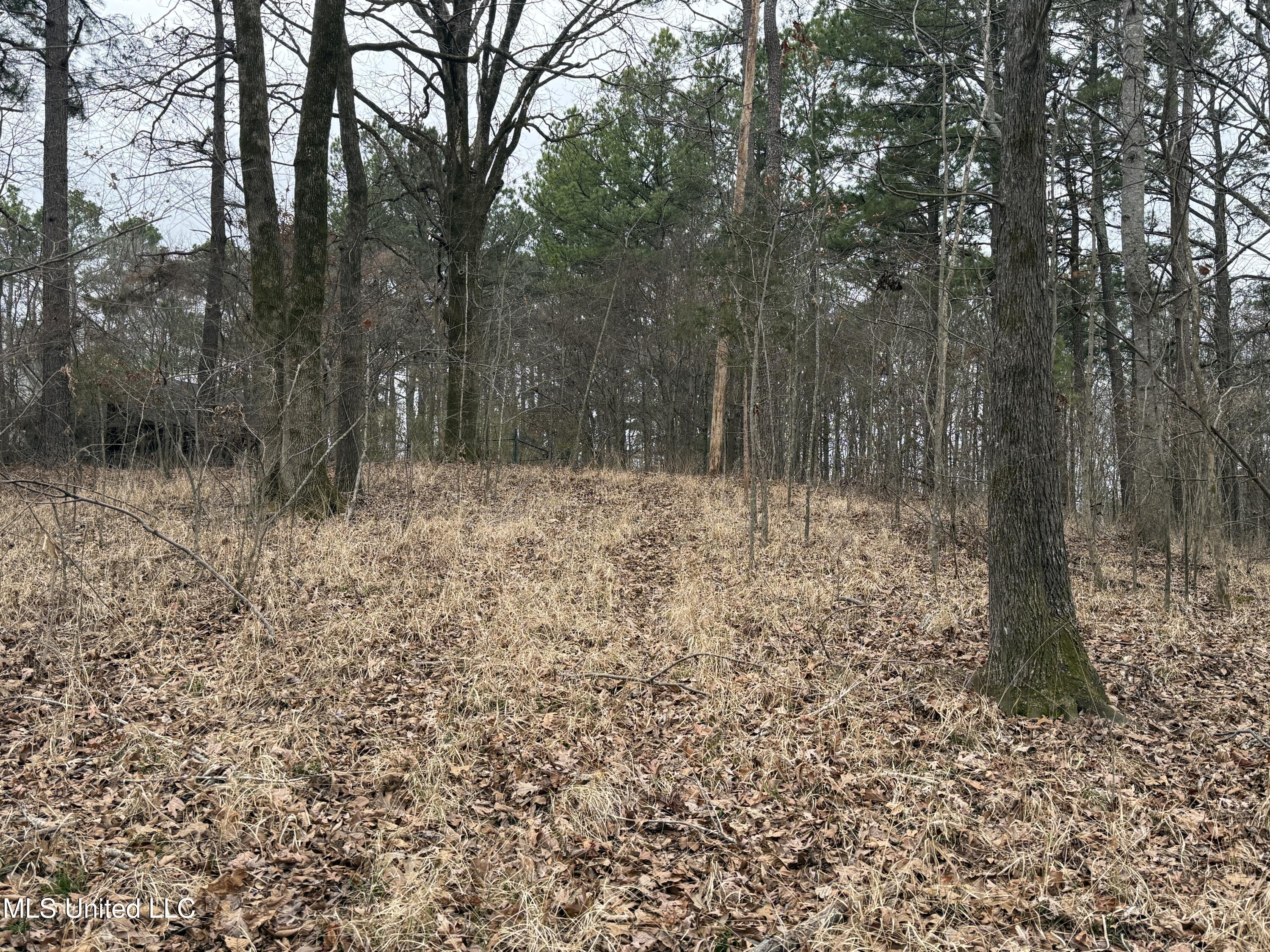 62 Green T Lake Road East Hernando, MS 38632 - Photo 2 of 8 IMG_1689