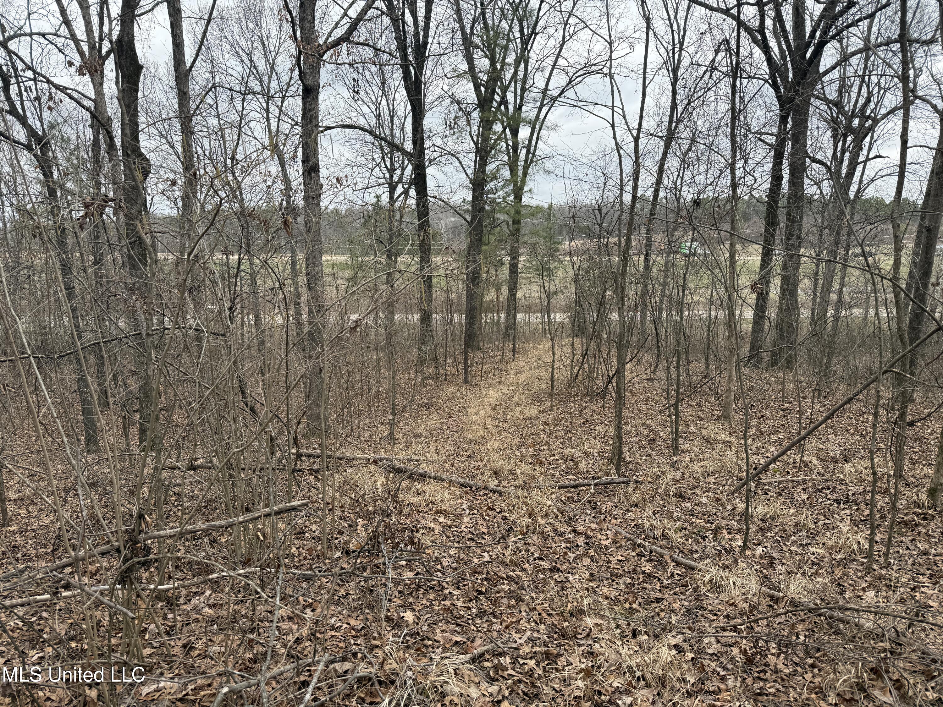 62 Green T Lake Road East Hernando, MS 38632 - Photo 3 of 8 IMG_1680