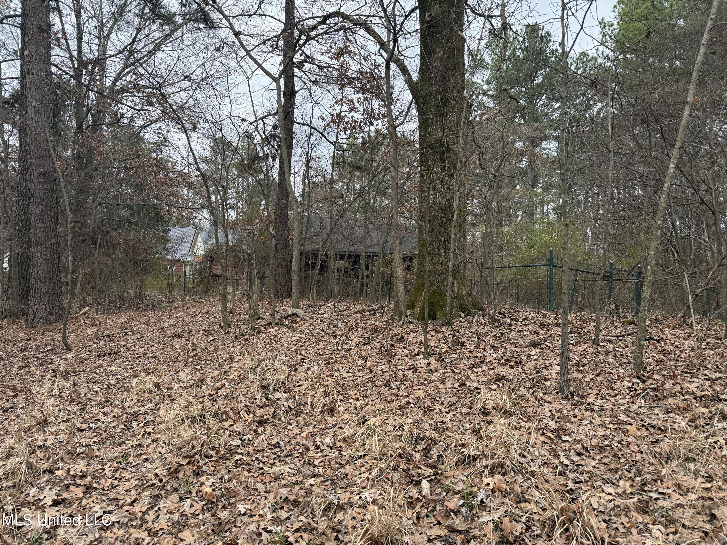 62 Green T Lake Road East Hernando, MS 38632 - Photo 5 of 8 IMG_1684