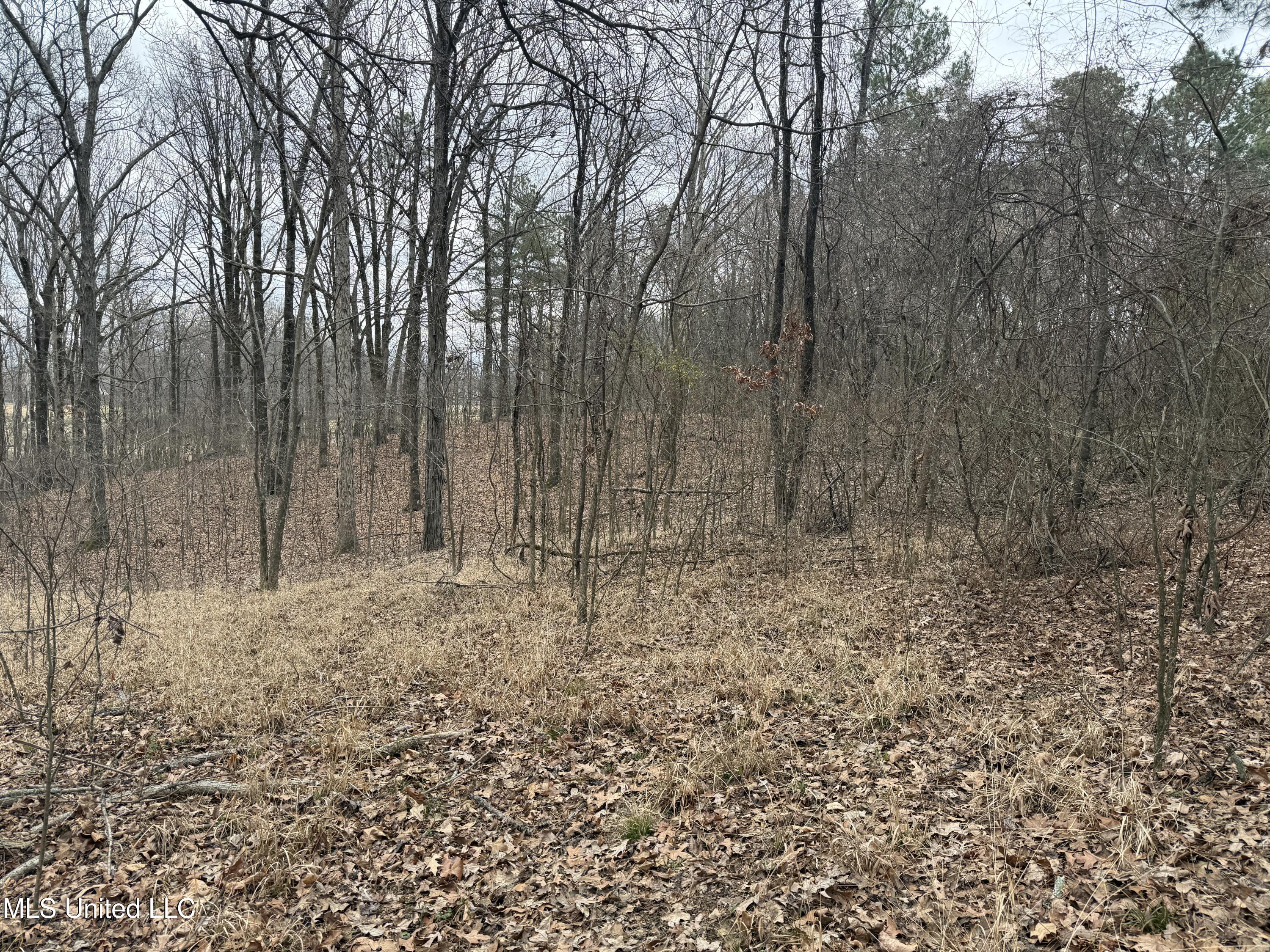 62 Green T Lake Road East Hernando, MS 38632 - Photo 6 of 8 IMG_1685