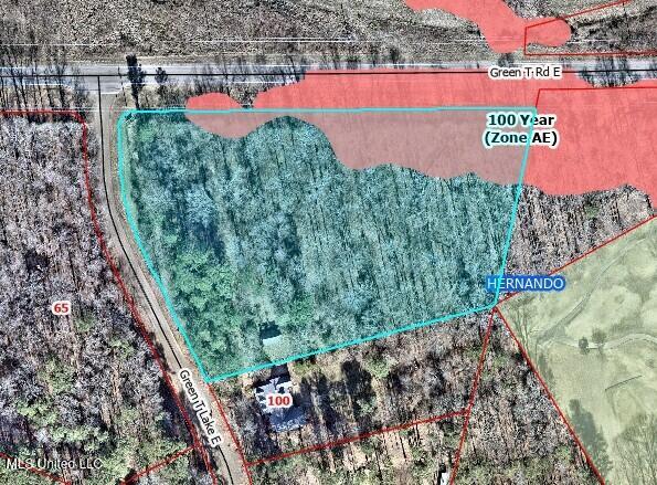 62 Green T Lake Road East Hernando, MS 38632 - Photo 8 of 8 100 Year Flood Zone