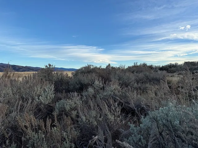 $299,000 | 32-ac Deer Loop, Council, ID 83612