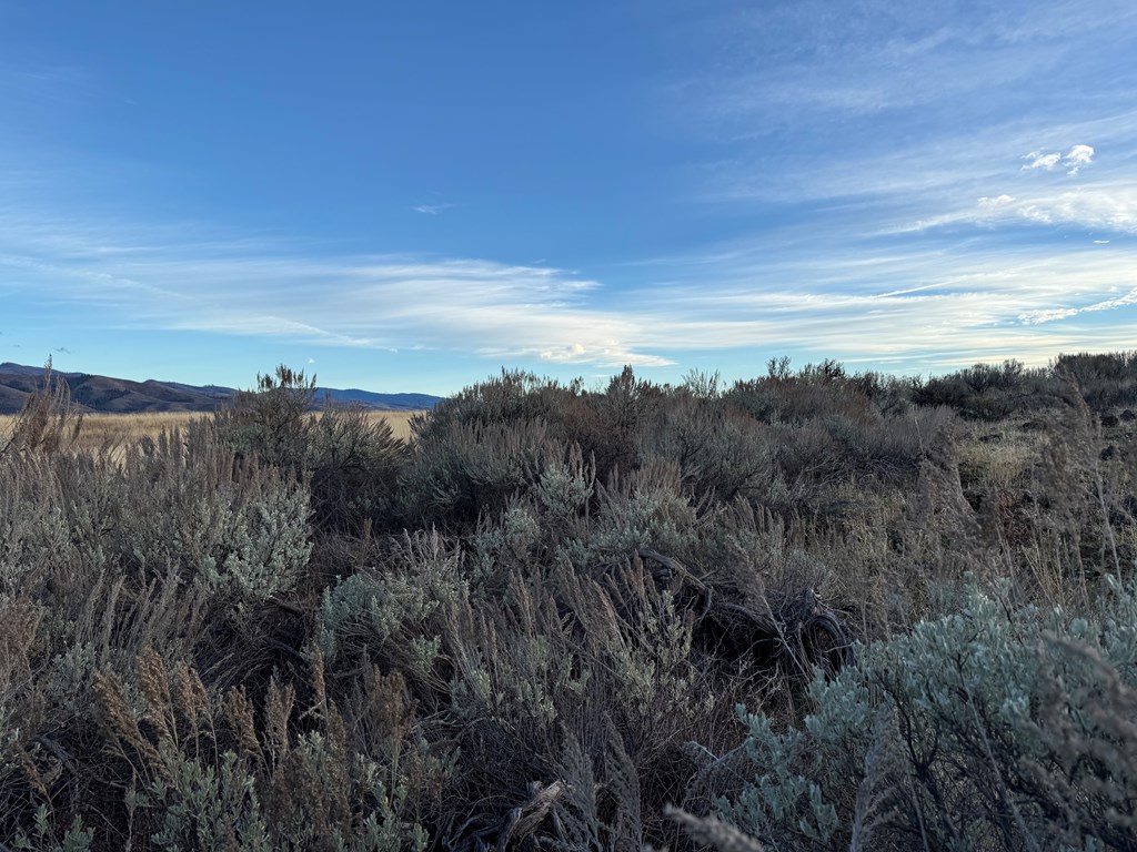 32-ac Deer Loop Council, ID 83612 - Photo 3 of 6