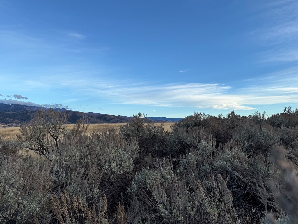 32-ac Deer Loop Council, ID 83612 - Photo 4 of 6