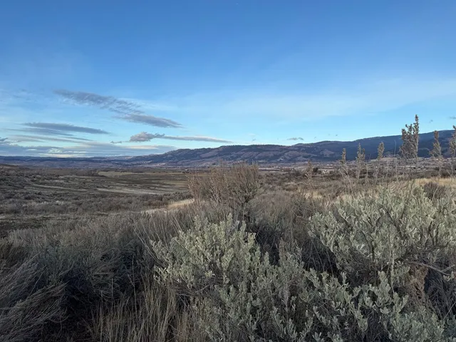 $299,000 | 32-ac Deer Loop, Council, ID 83612