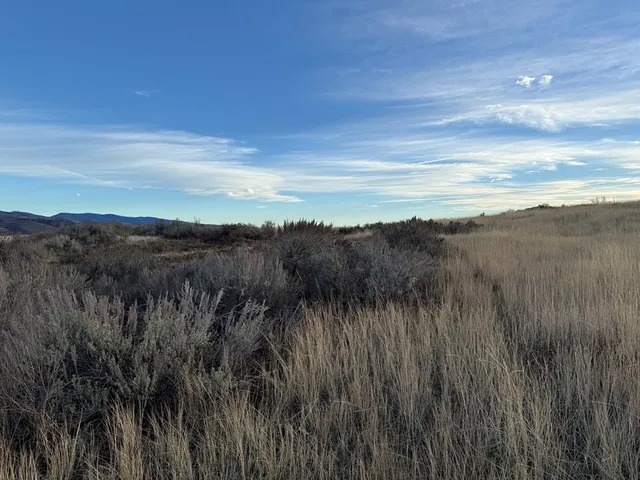 $299,000 | 32-ac Deer Loop, Council, ID 83612