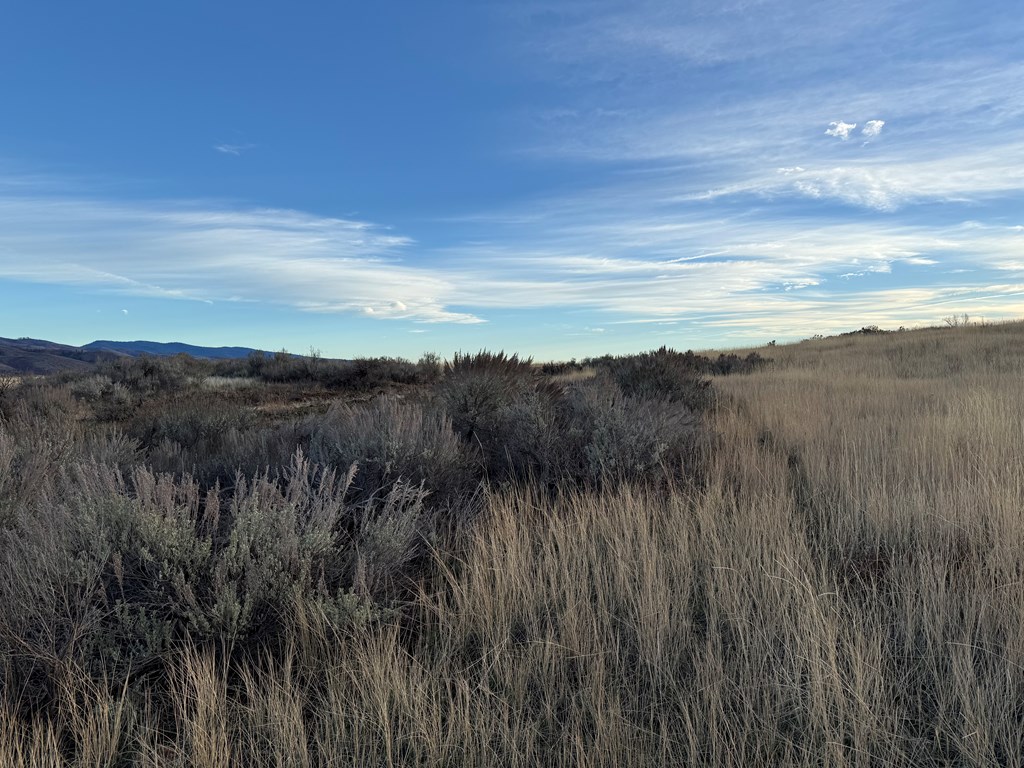 32-ac Deer Loop Council, ID 83612 - Photo 6 of 6