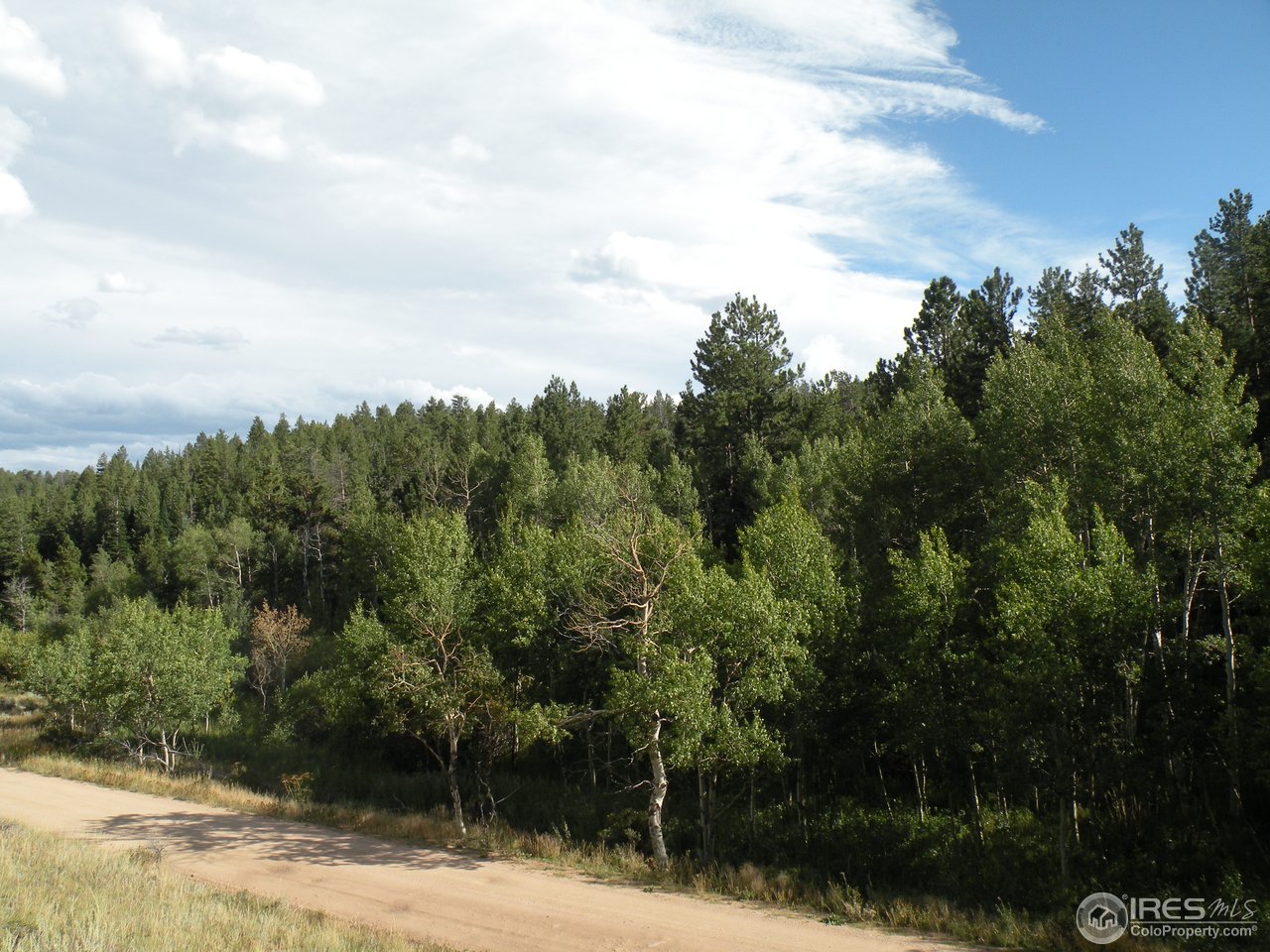 421 Beartrap Road Red Feather Lakes, CO 80545 - Photo 1 of 7 Gallery Image 1