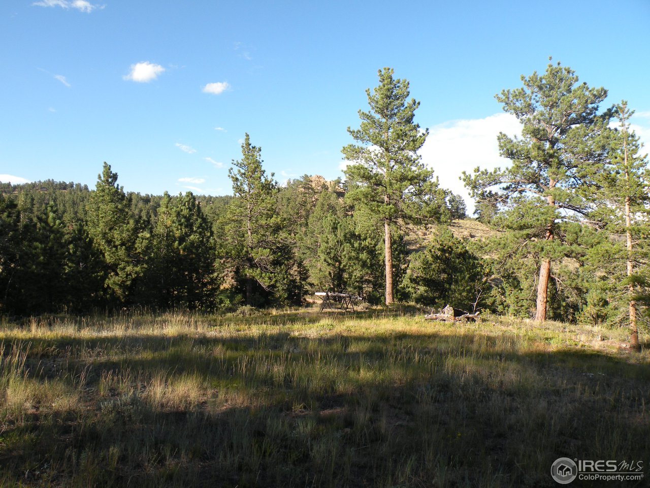 421 Beartrap Road Red Feather Lakes, CO 80545 - Photo 2 of 7 Cleared site for RV or home