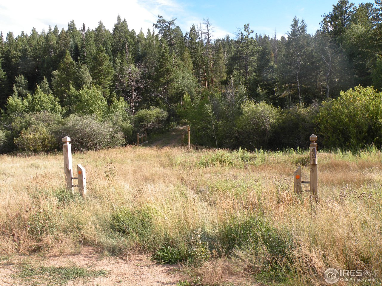 421 Beartrap Road Red Feather Lakes, CO 80545 - Photo 3 of 7 Beartrap Creek crossing