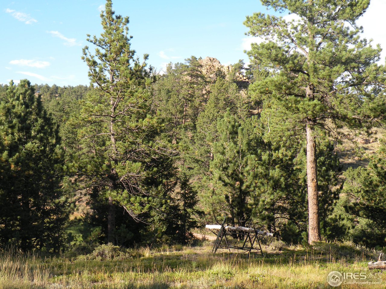 421 Beartrap Road Red Feather Lakes, CO 80545 - Photo 4 of 7 Gallery Image 4