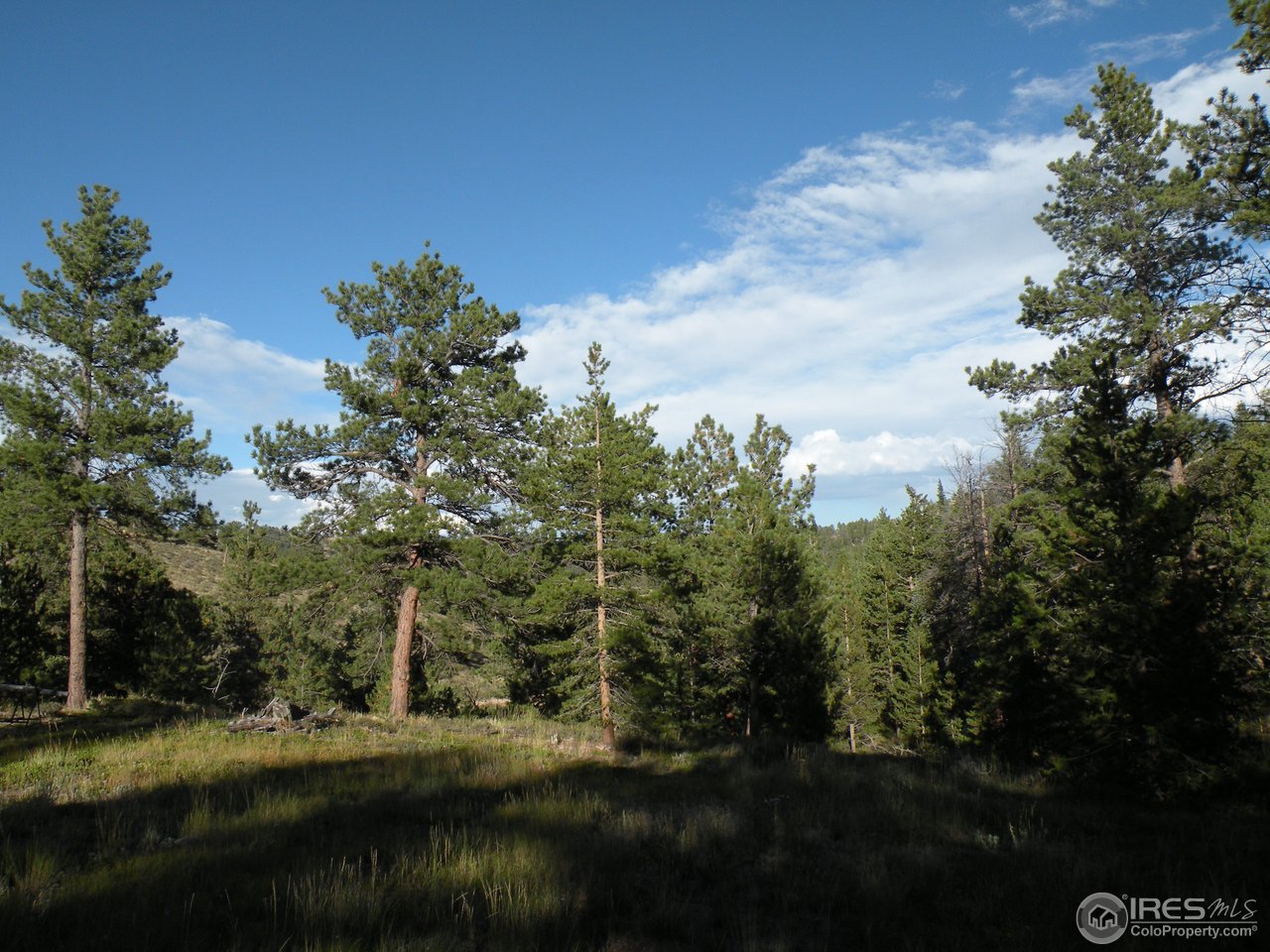421 Beartrap Road Red Feather Lakes, CO 80545 - Photo 5 of 7 Gallery Image 5