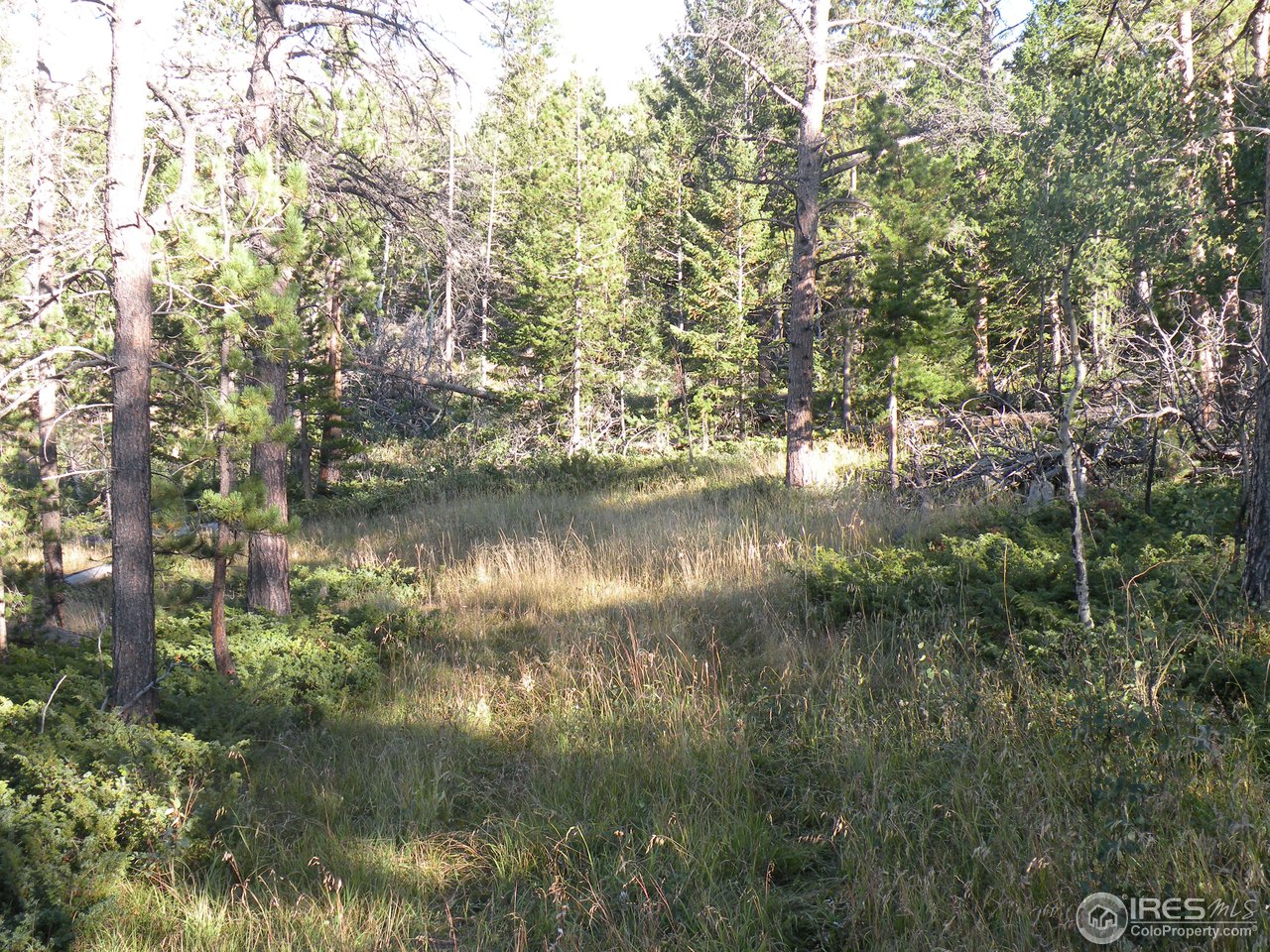 421 Beartrap Road Red Feather Lakes, CO 80545 - Photo 6 of 7 Gallery Image 6