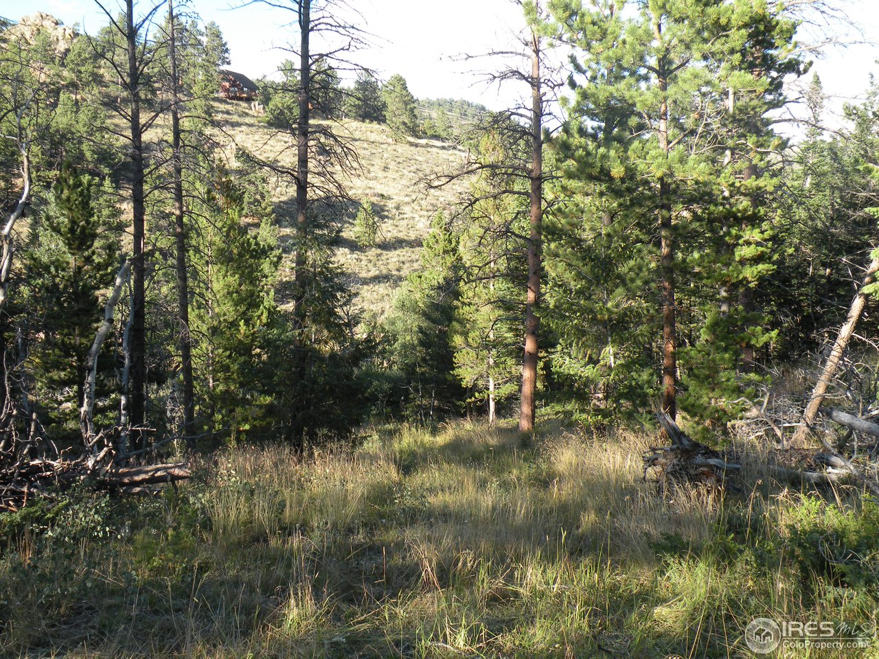 421 Beartrap Road Red Feather Lakes, CO 80545 - Photo 7 of 7 Gallery Image 7