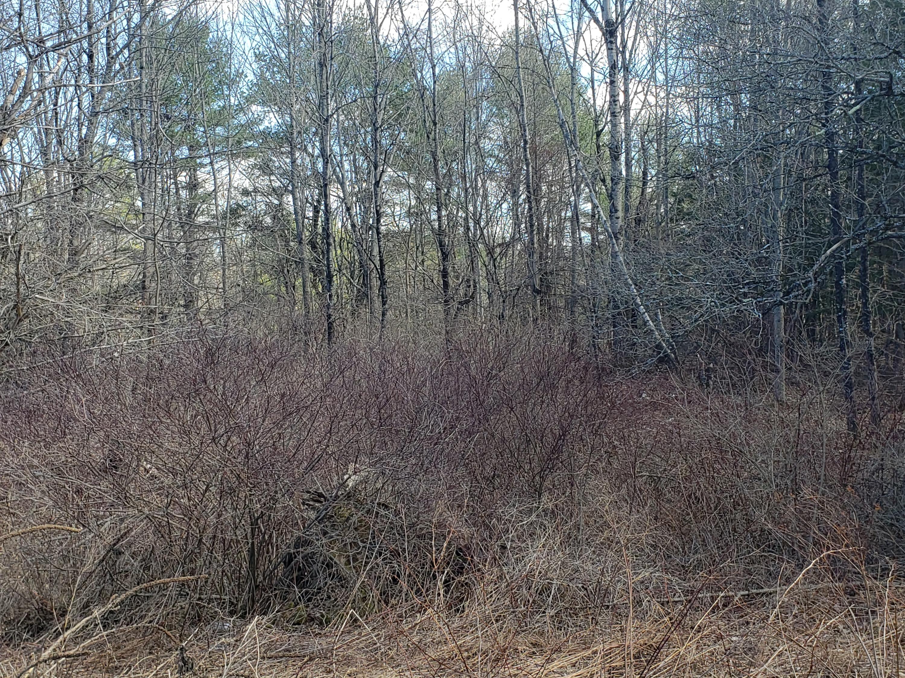 Lot 41-cdef Lot 41-cdef China Road Winslow, ME 04901 - Photo 11 of 17 41-E 2