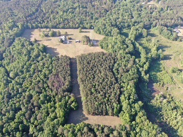 1158 Old Yorkville Road Rockmart, GA 30153 - Photo 9 of 15 a view of a yard with plants