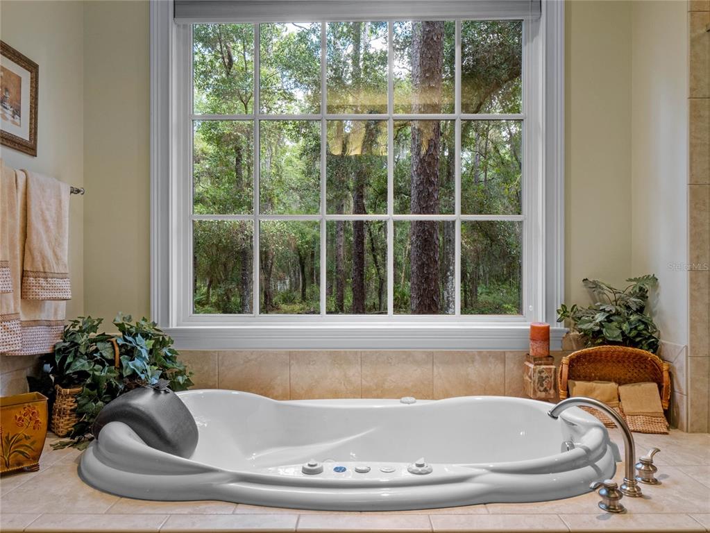 4000 Rouse Road Orlando, FL 32817 - Photo 13 of 53 a white bath tub sitting in a bathroom next to a window