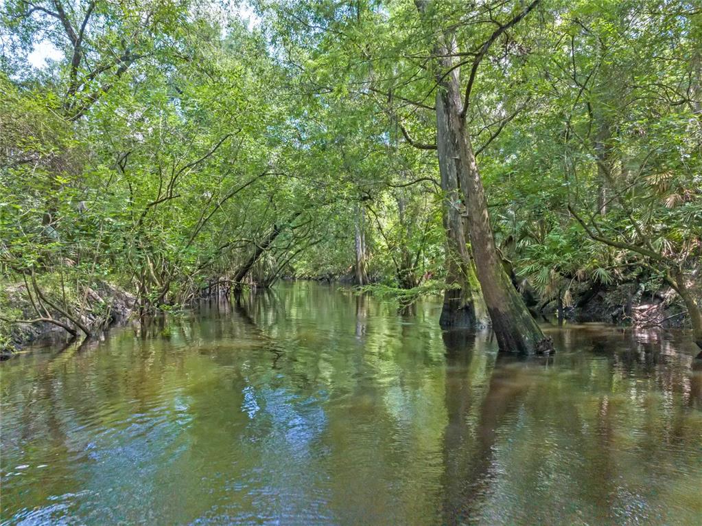 4000 Rouse Road Orlando, FL 32817 - Photo 2 of 53 a lake view with boat