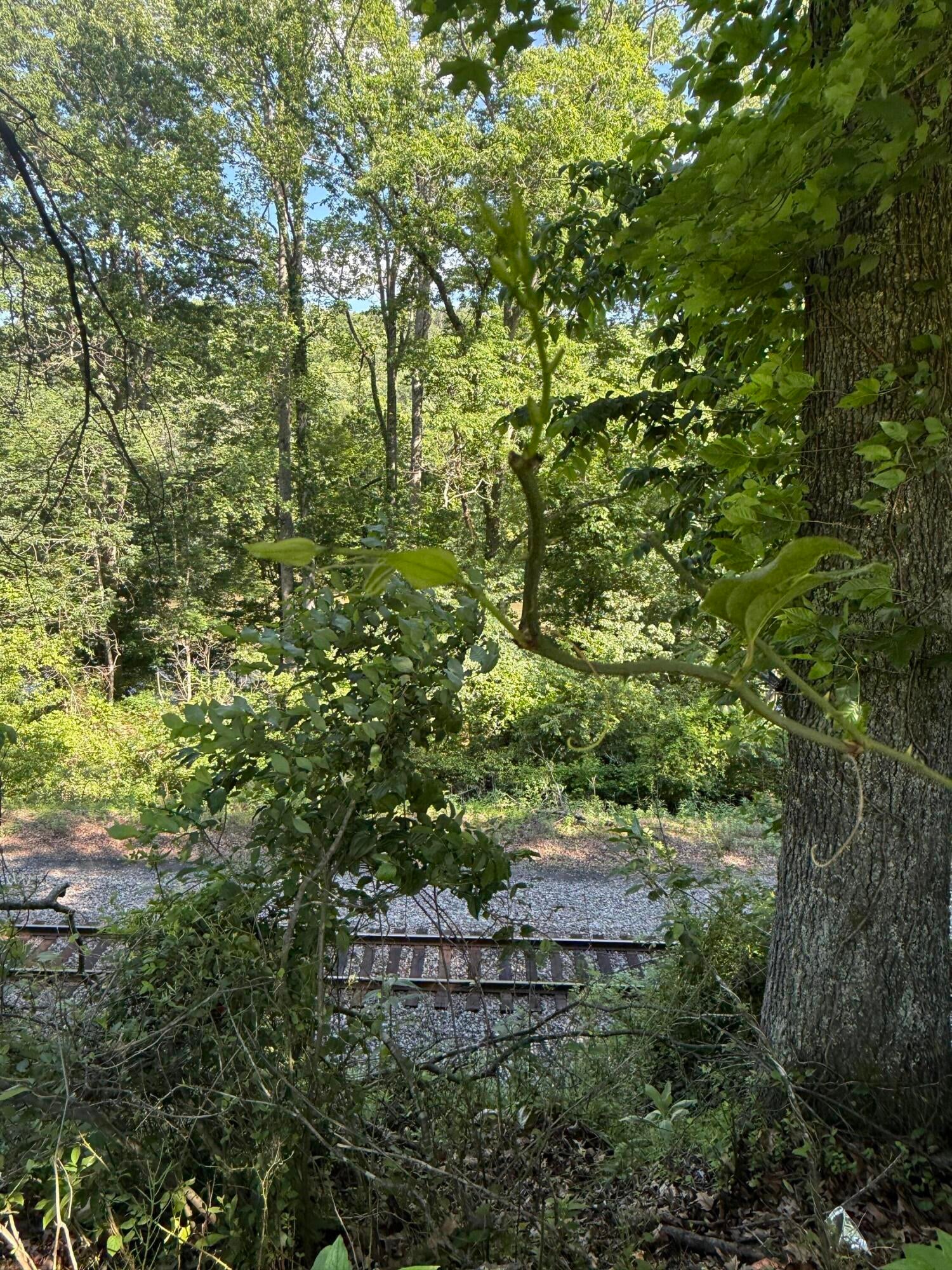 1999 Rockland Road Ronceverte, WV 24970 - Photo 134 of 153 Gallery Image 134