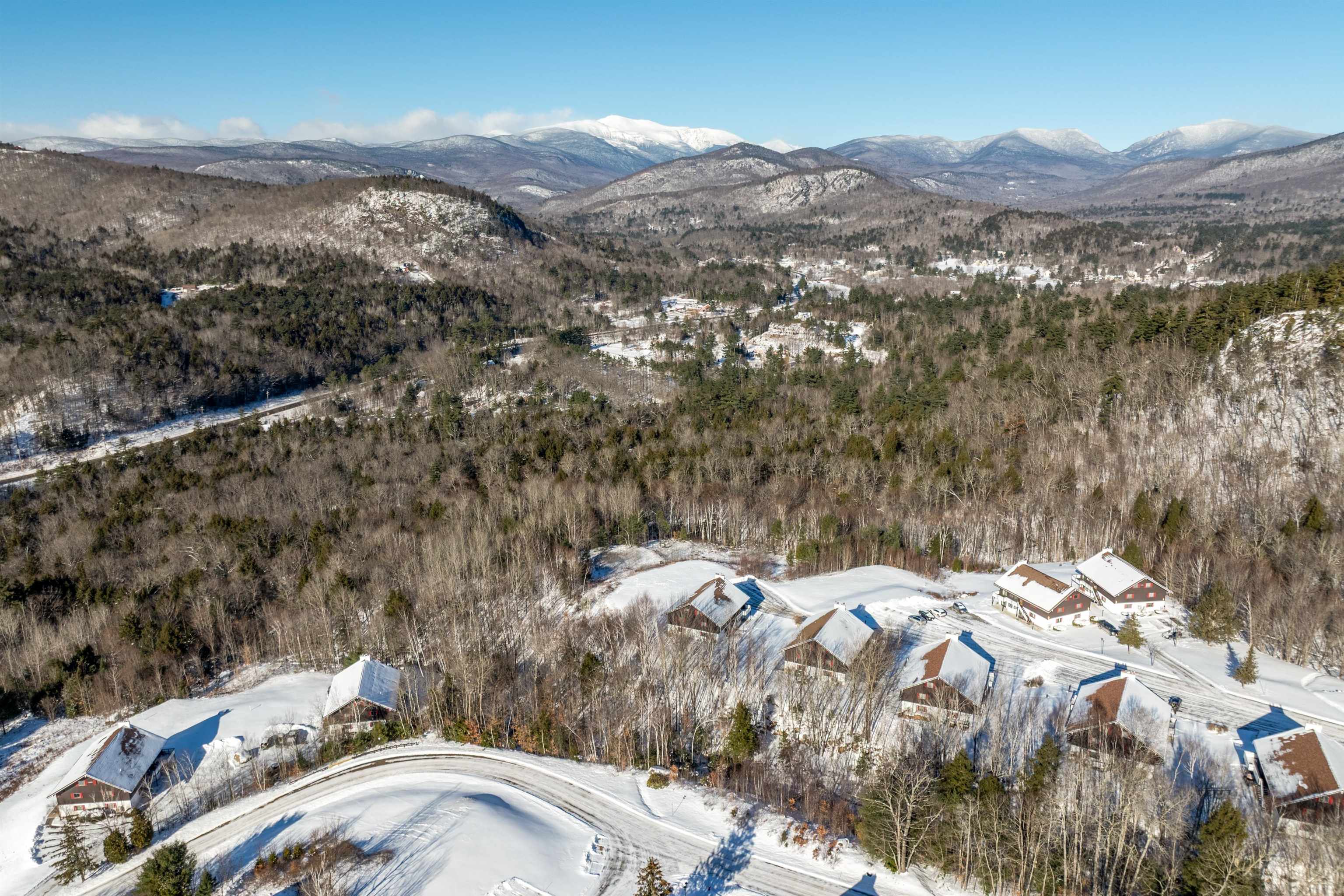 P61 Christmas Mountain Road, Unit P61 Intervale, NH 03845 - Photo 3 of 41