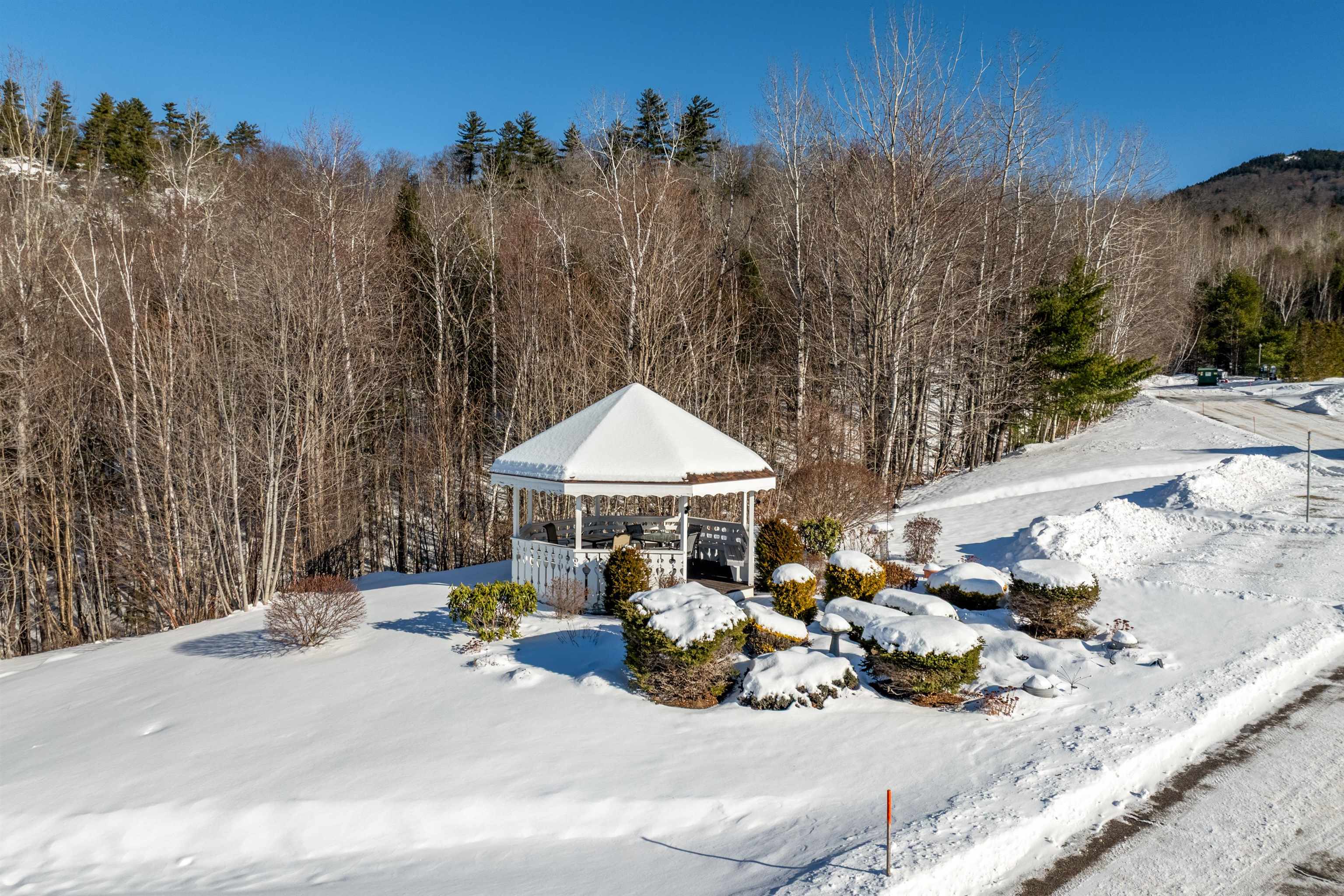 P61 Christmas Mountain Road, Unit P61 Intervale, NH 03845 - Photo 34 of 41