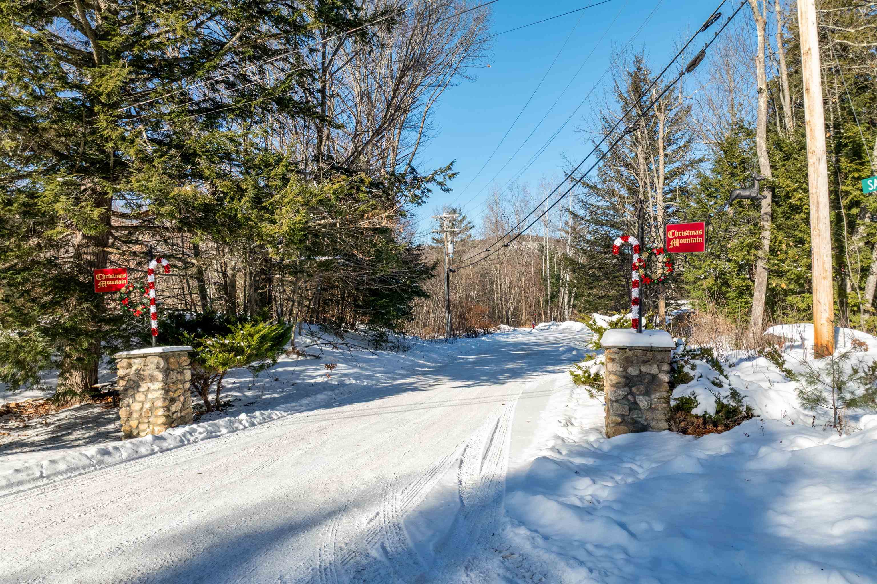 P61 Christmas Mountain Road, Unit P61 Intervale, NH 03845 - Photo 35 of 41