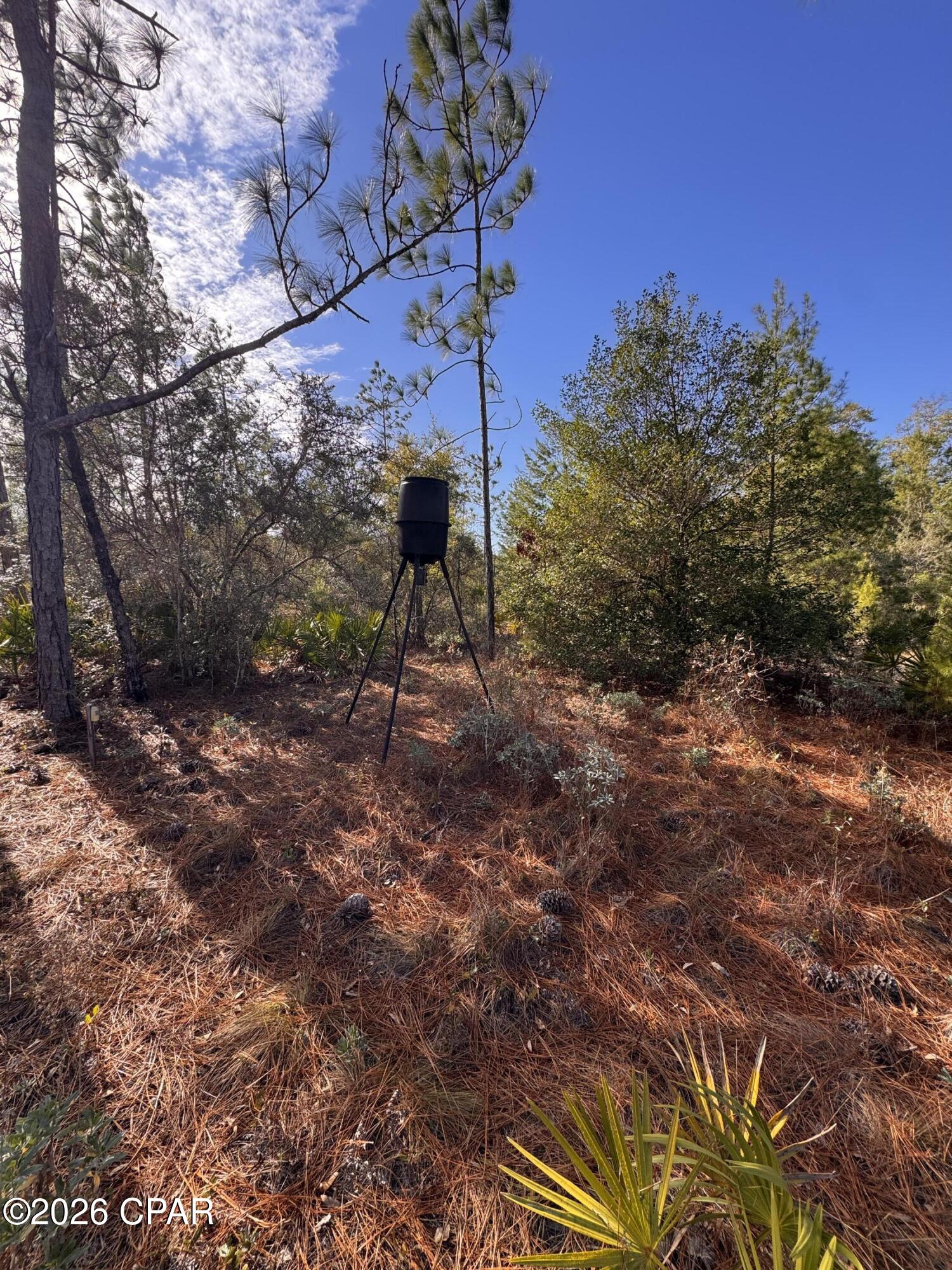 23588 Lamont Road Fountain, FL 32438 - Photo 24 of 48