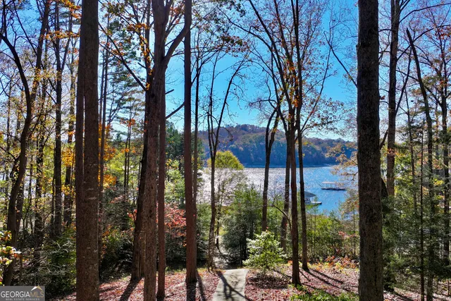 a view of a city from a tree