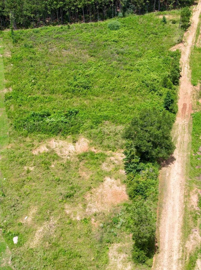 2346 Traci Loop Bogue Chitto, MS 39629 - Photo 2 of 4 Photo 2